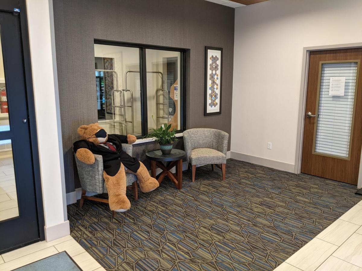 Holiday Inn Express South Burlington By Ihg Dış mekan fotoğraf